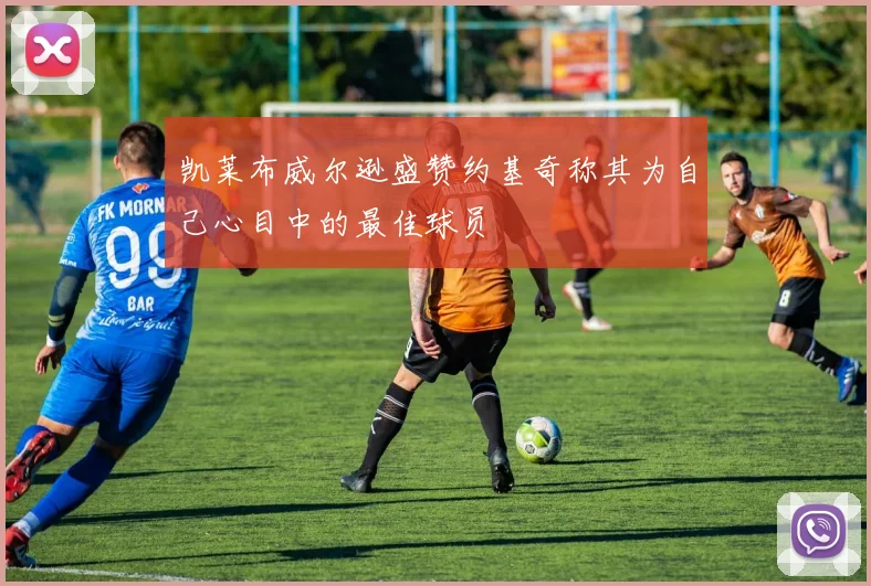 凯莱布威尔逊盛赞约基奇称其为自己心目中的最佳球员